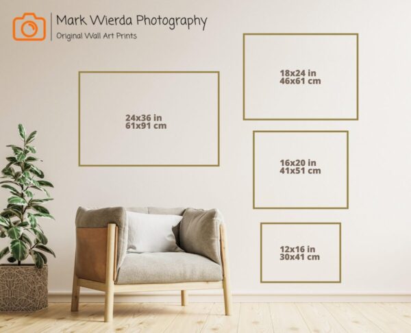 Landscape Size Guide