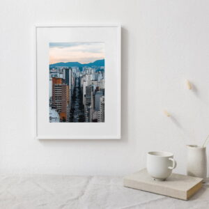 São Paulo Skyline I