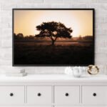 Tree Silhouette At Sunrise